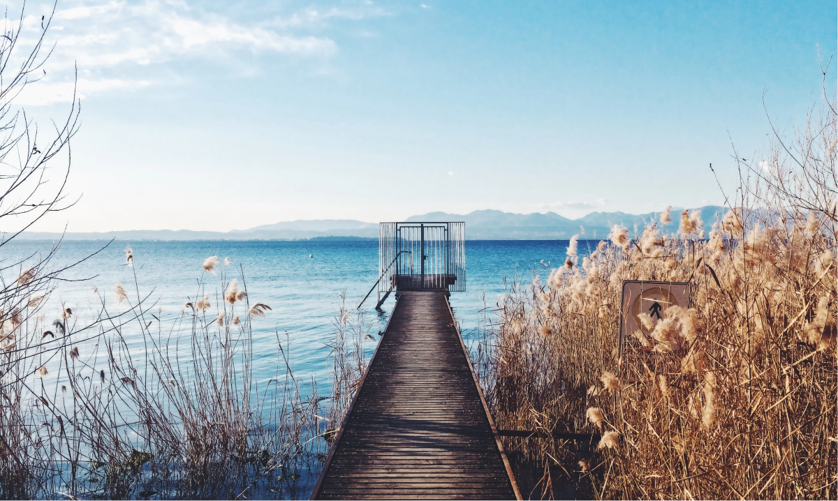 Workshop-Header-Image