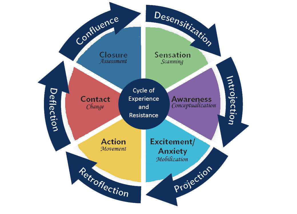 Cycle of Experience and Resistance Graphic